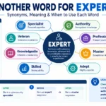 another word for expert