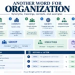 another word for organization