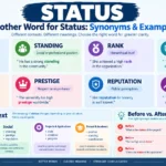 another word for status